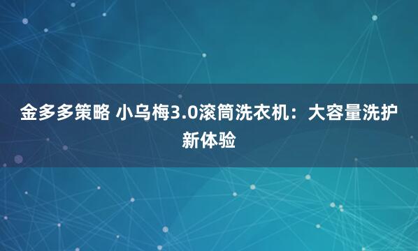 金多多策略 小乌梅3.0滚筒洗衣机：大容量洗护新体验