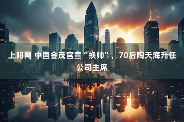 上阳网 中国金茂官宣“换帅”，70后陶天海升任公司主席