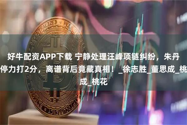 好牛配资APP下载 宁静处理汪峰项链纠纷,朱丹调停力打2分,离谱背后竟藏真相!_徐志胜_董思成_桃花