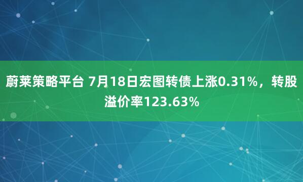 蔚莱策略平台 7月18日宏图转债上涨0.31%,转股溢价率123.63%