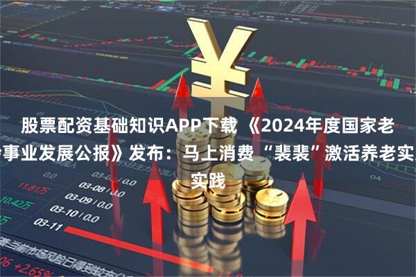 股票配资基础知识APP下载 《2024年度国家老龄事业发展公报》发布：马上消费 “裴裴”激活养老实践