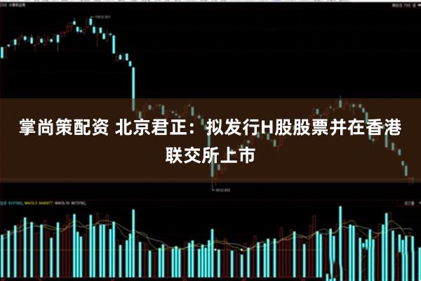 掌尚策配资 北京君正：拟发行H股股票并在香港联交所上市